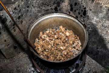 cooking in the kitchen