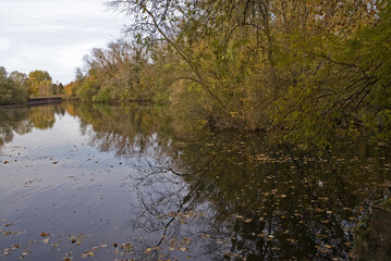 La Fosse aux Carpes, Réserve naturelle, Draveil, 91, Essonne, France