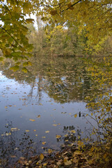 Obraz premium La Fosse aux Carpes, Réserve naturelle, Draveil, 91, Essonne, France
