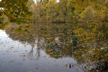 La Fosse aux Carpes, Réserve naturelle, Draveil, 91, Essonne, France
