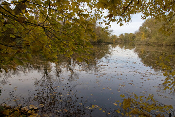 Fototapeta premium La Fosse aux Carpes, Réserve naturelle, Draveil, 91, Essonne, France