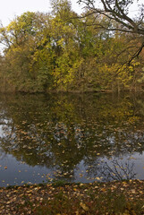 La Fosse aux Carpes, Réserve naturelle, Draveil, 91, Essonne, France