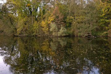 La Fosse aux Carpes, Réserve naturelle, Draveil, 91, Essonne, France