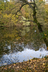 La Fosse aux Carpes, Réserve naturelle, Draveil, 91, Essonne, France