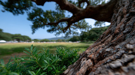 Fototapeta premium A close-up of a textured tree trunk with lush green foliage in the foreground, illustrating the tranquility and beauty of a natural setting under a bright blue sky.