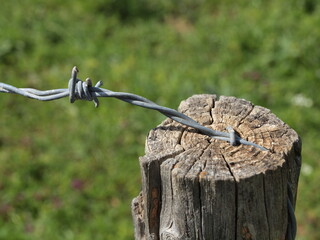 Barbed wire running through old wooden fence post