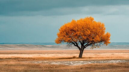 Vibrant Autumn Tree Under Dramatic Sky in Expansive Nature Landscape