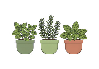 Simple illustration of three potted herbs, including basil, rosemary, and mint, on a white background.