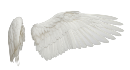 Isolated pair of angel wings, spread wing for flight, soft white feathers, airy texture