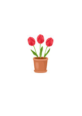 Red tulips in flower pot isolated on white. Vector cartoon flat illustration.ai