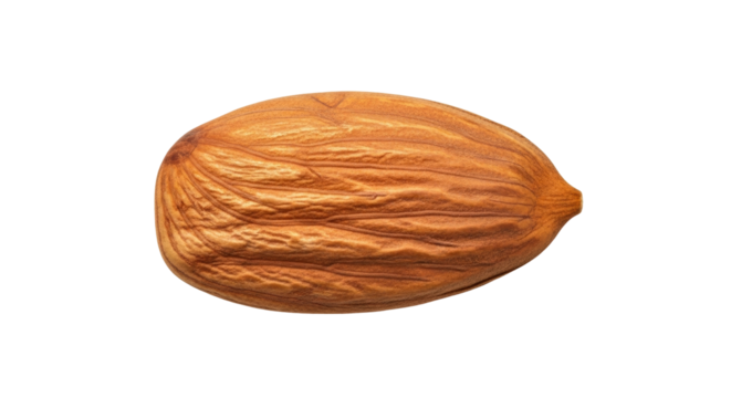 Isolated single almond on plain backdrop, protein snack, edible seed with healthy fats