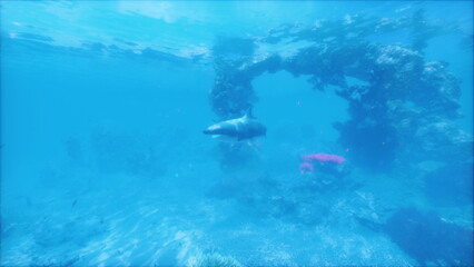 Obraz premium A great white shark glides gracefully near a colorful coral reef, showcasing its sleek form against the vibrant underwater scenery in a tropical location.