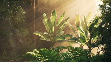 Golden rays of sunlight illuminate vibrant green plants in a tropical forest. The light creates a serene atmosphere among the dense foliage and ferns.