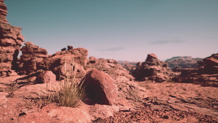 Desert Serenity: Majestic Rock Formations Amidst the Vast, Barren Landscape