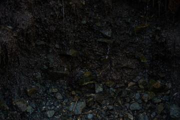 Close-up of moist rocky cliff with natural water seepage