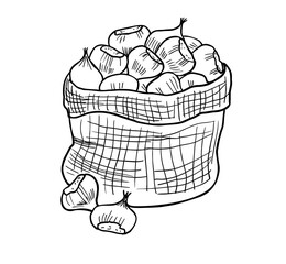 Chestnuts in a burlap bag line art