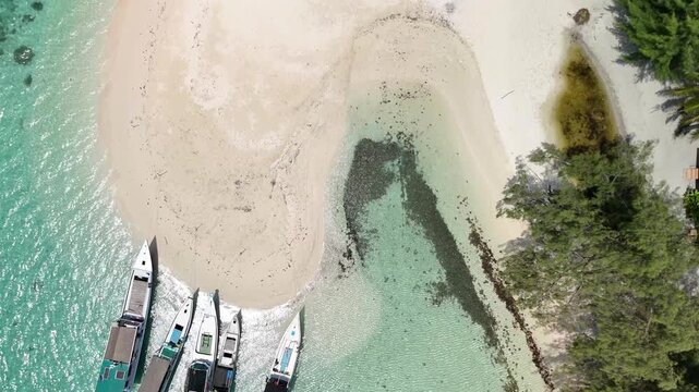 4k video in the beach, in the nature, in the island, indonesia bali, 4k video drone 