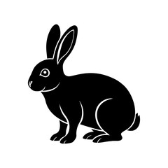 vector illustration of a rabbit with white background