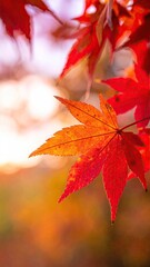 Autumnal Maple Leaf Glowing Red and Orange with Sunlight Backlit in Vertical Format