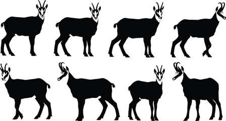 Goat silhouette collection, black animal shapes, livestock poses, farm creature profiles, horned mammals, side view goats, vector illustration set