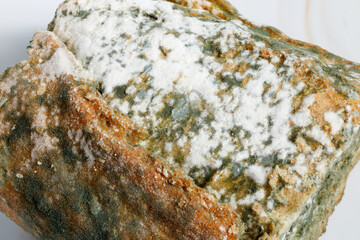 Close-up of Moldy bread on cutting board