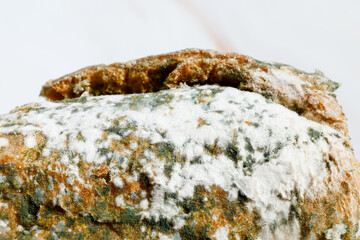 Close-up of Moldy bread on cutting board