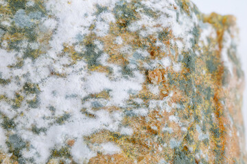 Close-up of Moldy bread on cutting board