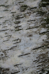 Region Teutoburger Wald