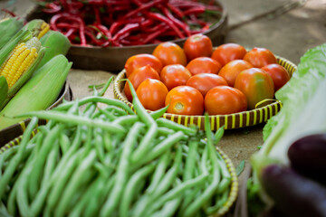 A vibrant and colorful array of fresh vegetables like tomatoes, crisp green beans, and spicy chili peppers