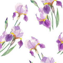 Seamless pattern of irises. Watercolor handmade illustration. For packaging design, cards, cover, prints, product labels and fabric. 