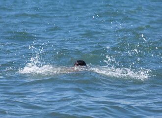 A man is swimming in the ocean