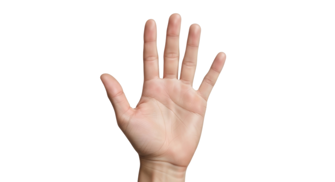 Isolated human hand gesturing five fingers up against neutral backdrop in studio lighting