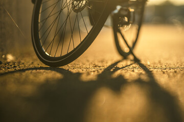 Naklejka premium Bicycle wheel shadow on golden pavement.