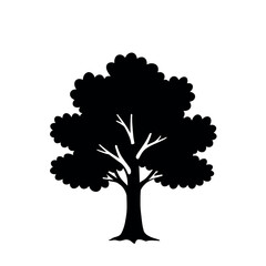 Fototapeta premium Silhouette of a deciduous tree with a full crown and visible branches.