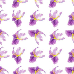 Seamless pattern of irises. Watercolor handmade illustration. For packaging design, cards, cover, prints, product labels and fabric. 