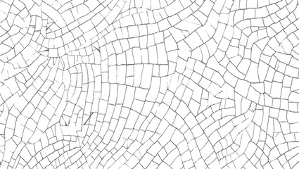 white surface with a network of irregular grey lines forming a cracked pattern.