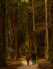 A couple enjoys a peaceful walk along a winding path beneath tall trees in Speulderbos. The enchanting autumn colors create a serene atmosphere perfect for outdoor lovers.