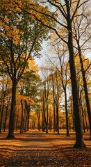 Autumn Woods Scenic Path.