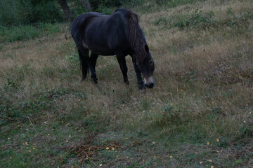 Region Teutoburger Wald