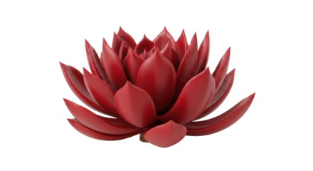 Isolated Red Echeveria succulent plant, botanical rosette with fleshy leaves, vivid color