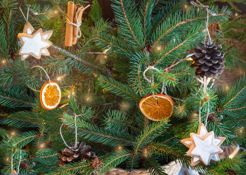 Christmas zero waste, rustic, eco. Closeup of decorated Christmas tree -  dried oranges, pine cones and cinnamon sticks, cookies. Eco-friendly Christmas.