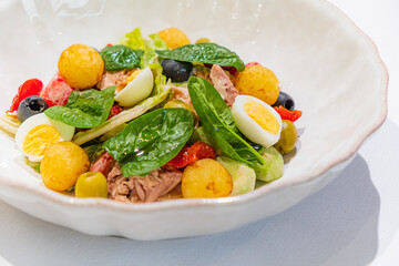 Delicious salad featuring greens, eggs, tuna, and vibrant vegetables in a cozy dining setting