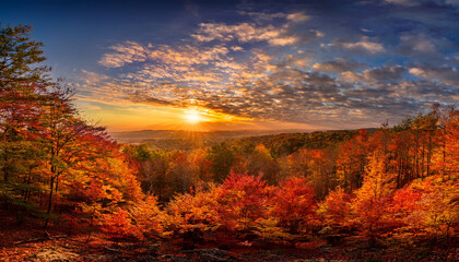 Fototapeta premium The Sky Bursts With Colors As The Sun Sets Behind A Dense Forest Illuminating The Autumn Leaves In Stunning Reds Oranges And Yellows A Peaceful Moment Of Nature Unfolds