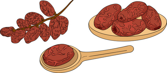 Detailed colored vector art of dates, showcasing dried dates. Ideal for food, culinary, or nature themed designs.