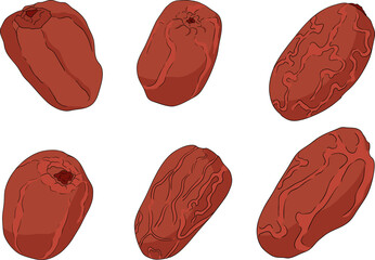 Detailed colored vector art of dates, showcasing dried dates. Ideal for food, culinary, or nature themed designs.