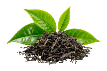 Heap of dry black tea leaves with fresh green leaves isolated on transparent background