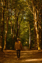 A peaceful walk unfolds in the world-famous Speulderbos forest. Golden autumn leaves create a warm atmosphere as a person strolls along the winding path, surrounded by majestic trees.
