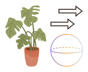 Monstera plant in a pot, two directional arrows, and a gradient-outlined sphere. Ideal for growth, direction, movement, ecology, balance sustainability and design concepts. Minimalist flat metaphor