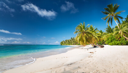 Obraz premium Pristine Tropical Beach Scene 1