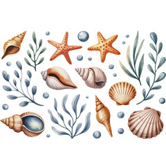 Watercolor illustration of seashells starfish and aquatic plants on a softly patterned background